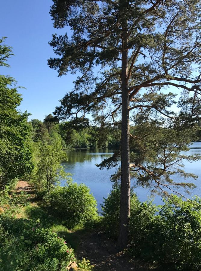 Stenhaella Bed&Breakfast Holmsjö 外观 照片
